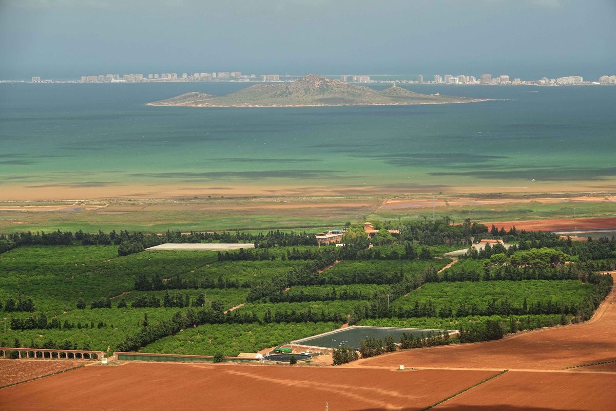 El Tribunal Superior de Murcia obliga a quitar cinco hectáreas de regadíos ilegales junto al mar Menor