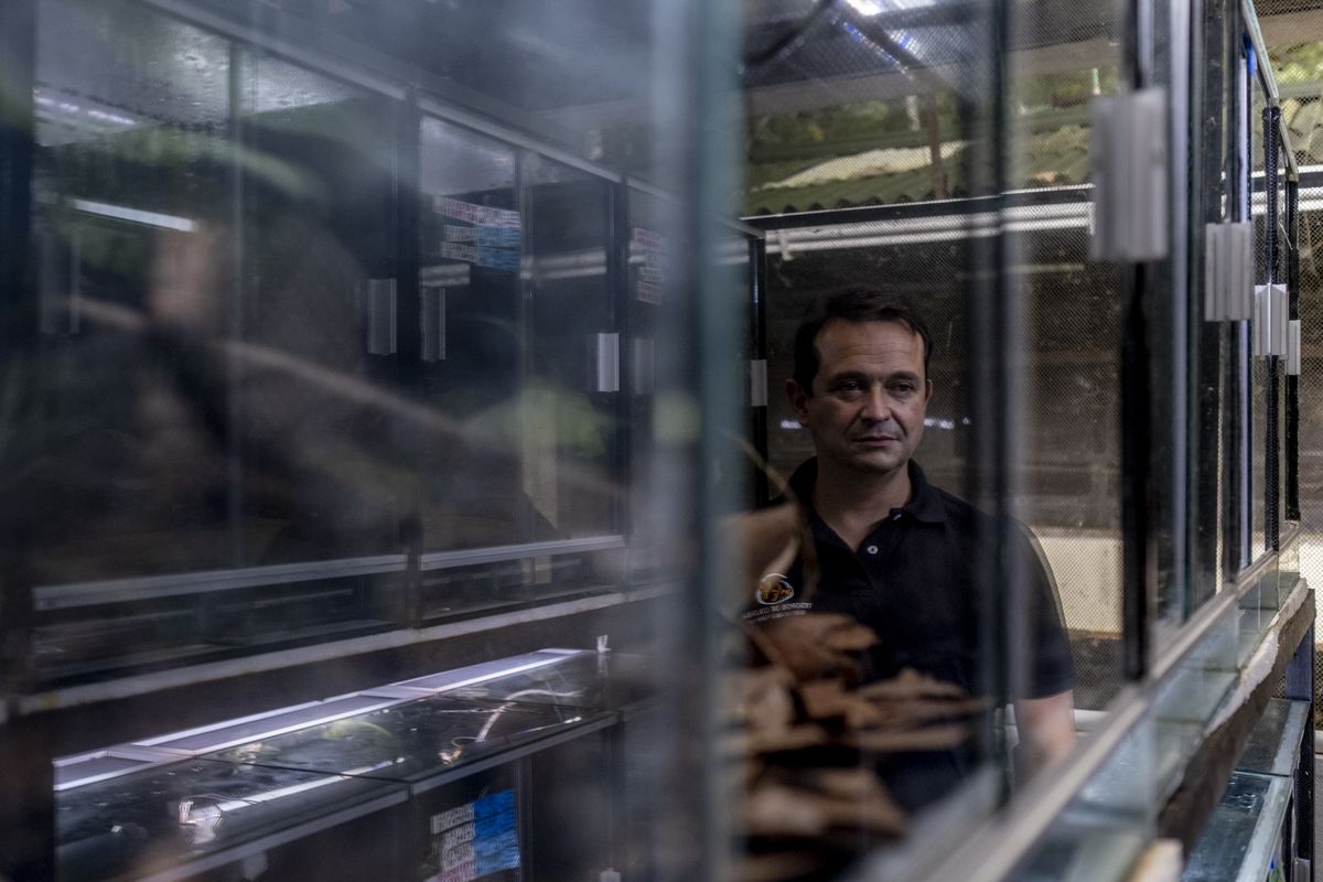 El zootecnista que rompió con el tráfico de ranas venenosas