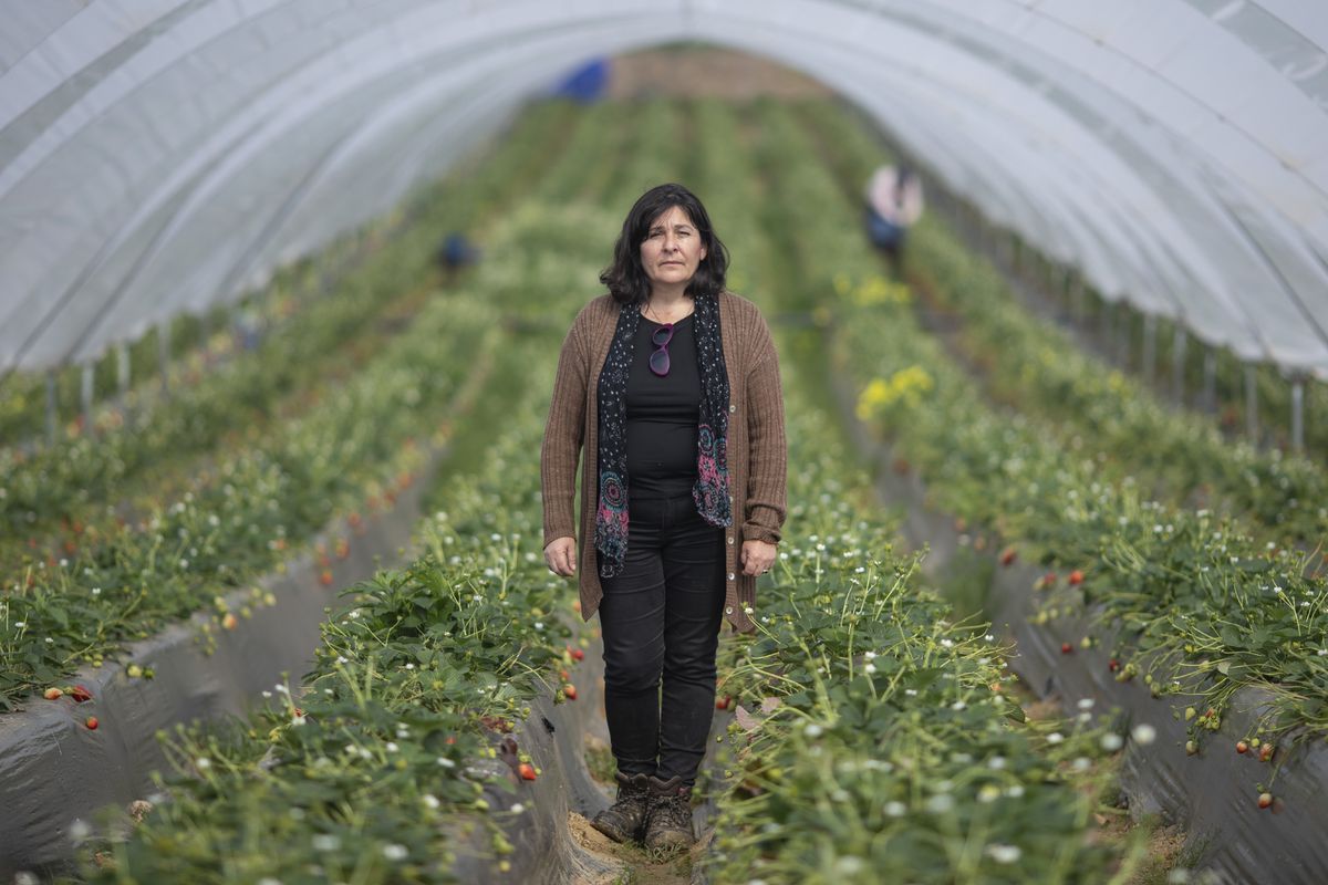 El futuro de Doñana importa al consumidor de Zúrich