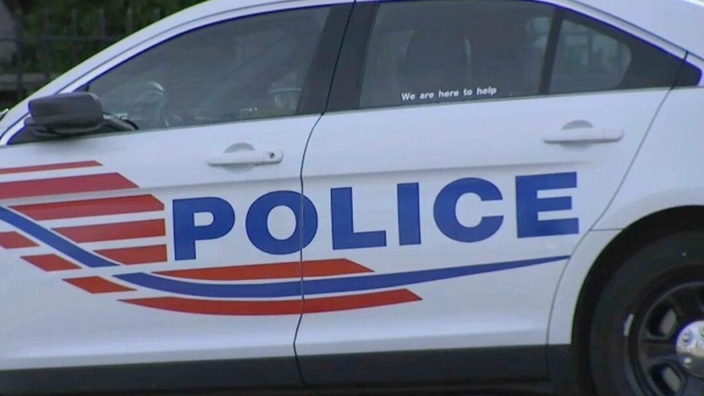 Hallan fetos en la casa de Lauren Handy, activista antiaborto, en Washington