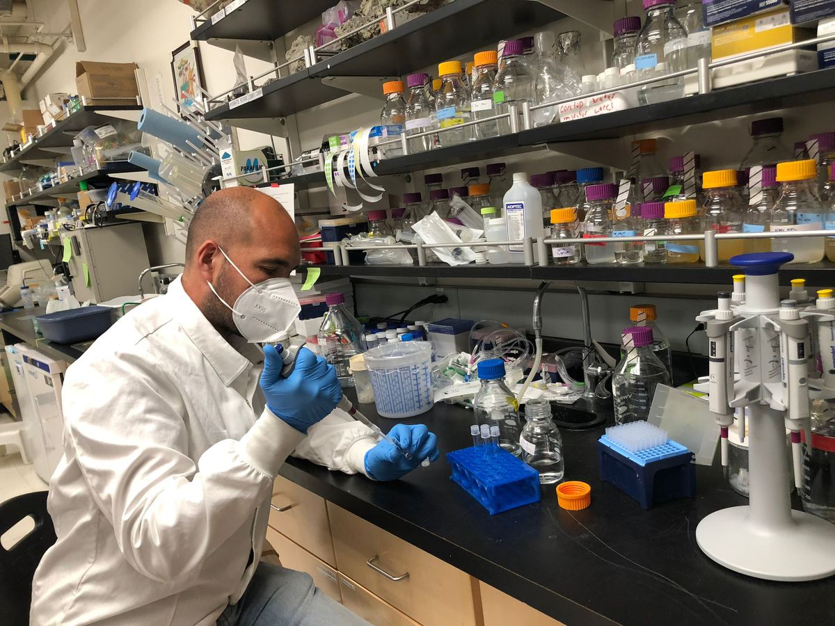 Científicos asfixiados en el extranjero: “Estoy pensando en renunciar”