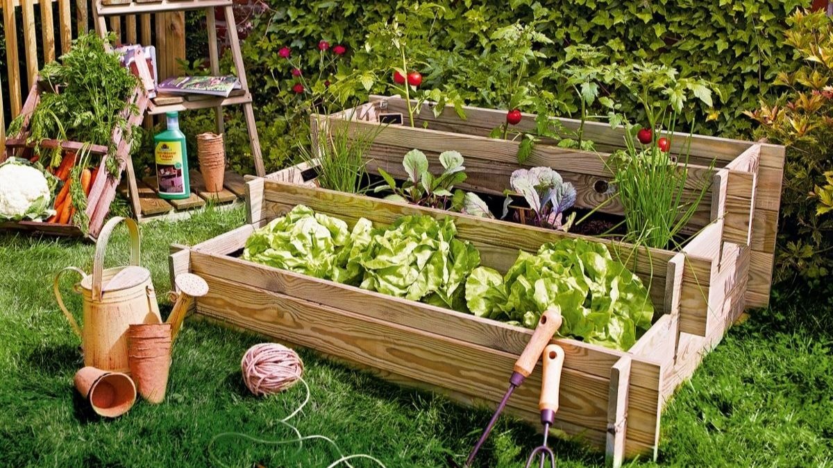 3 consejos para hacer un huerto en la terraza de casa