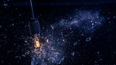 5 tesis de startups que transformarán la década de 2020
