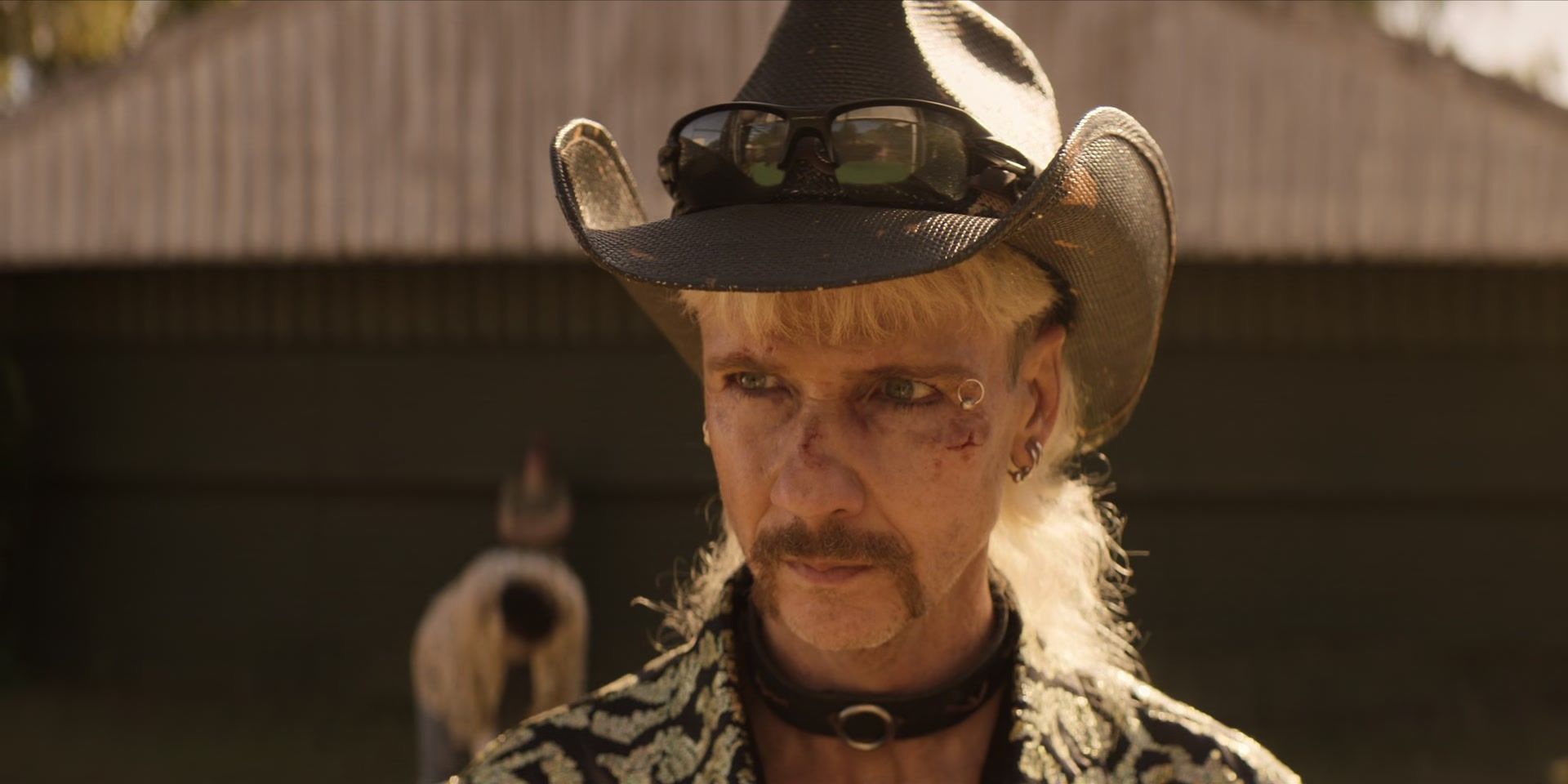 A Joe vs Carole Star no le gustó el documental Tiger King de Netflix