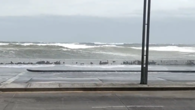 Activan alerta gris en Veracruz por frente frío; 'Norte' golpeará la costa | Video