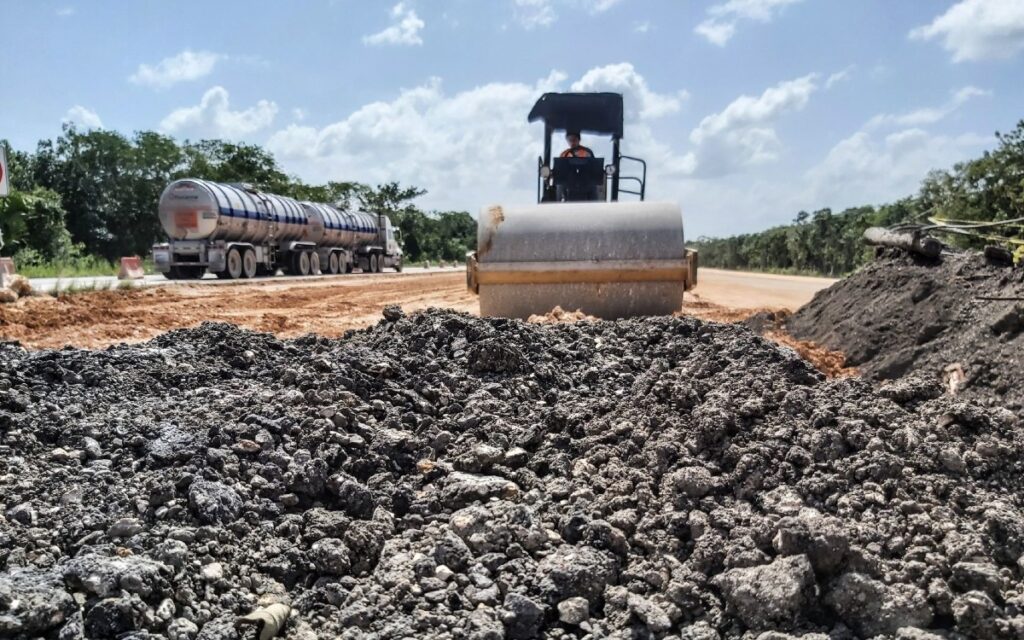 Ambientalistas denuncian tala de árboles en Playa del Carmen por el Tren Maya