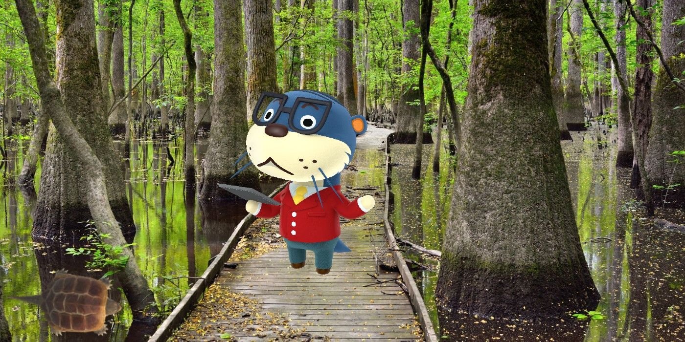 Animal Crossing Swamp Shack obtiene alta calificación de Happy Home Academy