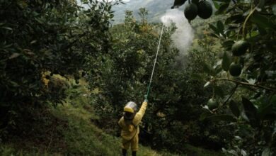Apeel obtiene más efectivo para combatir la pobreza y la inseguridad alimentaria en los mercados emergentes con su tecnología de conservación de alimentos
