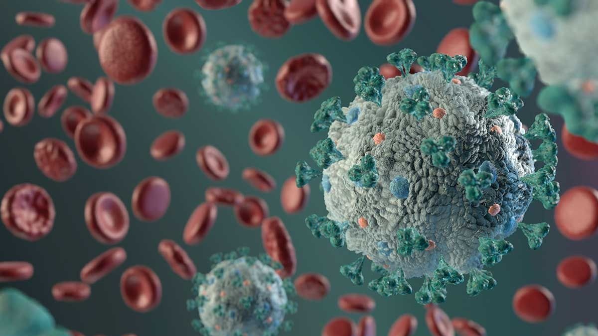 Así es la mascarilla de Portugal que inactiva el coronavirus