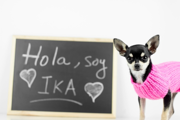 Berbix recauda 9 millones de dólares para su plataforma de verificación de identidad