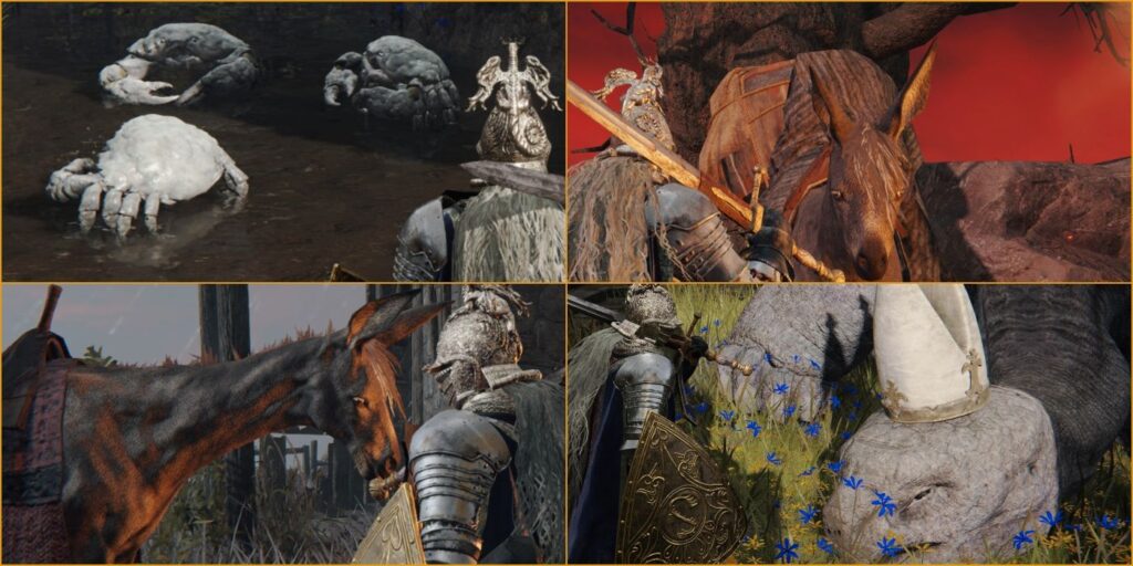 Cada perro en Elden Ring