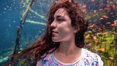 Cambio en la ruta del Tren Maya también pone en peligro a los ecosistemas subterráneos, advierte Camila Jaber