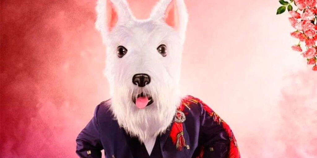 Cantante enmascarado: McTerrier revela por qué eligió su disfraz