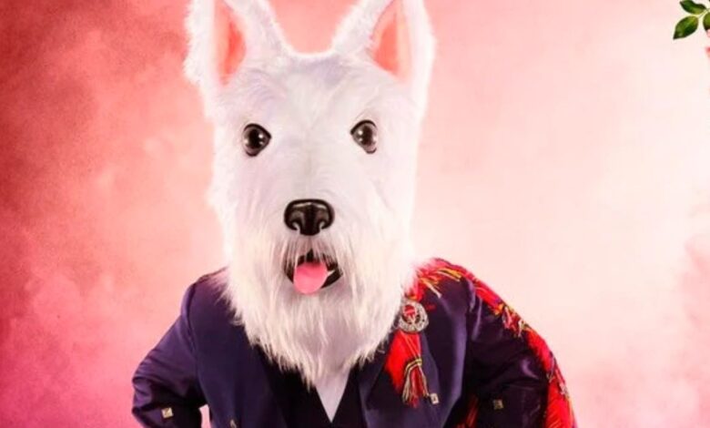Cantante enmascarado: McTerrier revela por qué eligió su disfraz