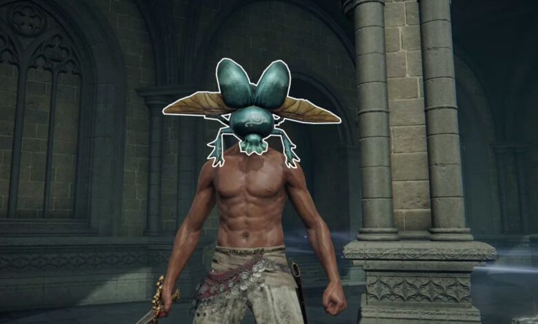Casco Elden Ring FP: dónde encontrar Glintstone Scarab