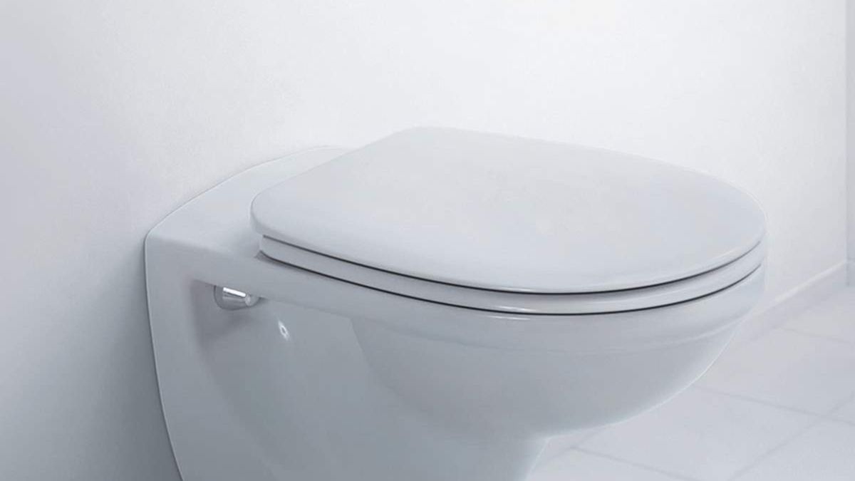 Cerrar la tapa del inodoro antes de tirar de la cadena, clave para frenar el coronavirus