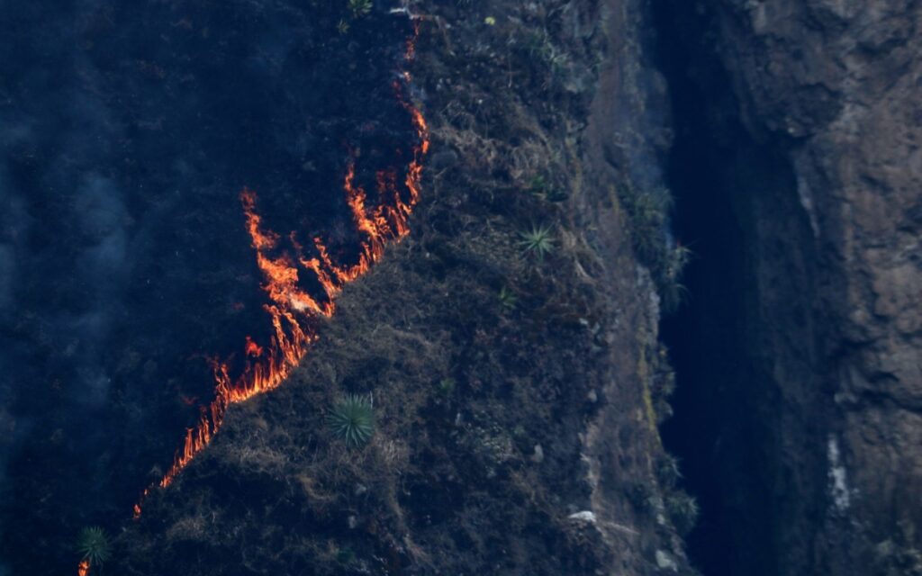 Cierran acceso al Tepozteco durante dos meses tras fuerte incendio