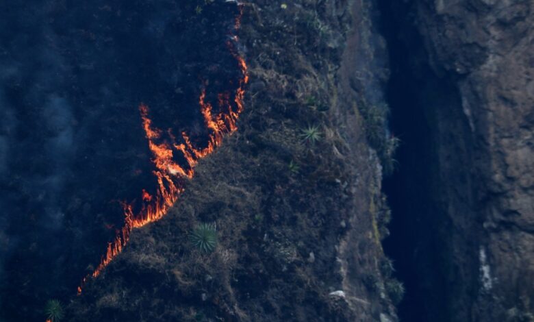 Cierran acceso al Tepozteco durante dos meses tras fuerte incendio