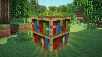 Clever Minecraft Player usa Glitch para hacer que las estanterías contengan libros