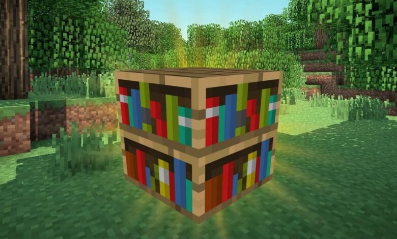 Clever Minecraft Player usa Glitch para hacer que las estanterías contengan libros