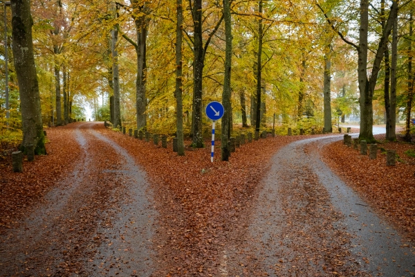 Cómo las startups pueden sacudir su primera idea y aún así aplastar el mercado