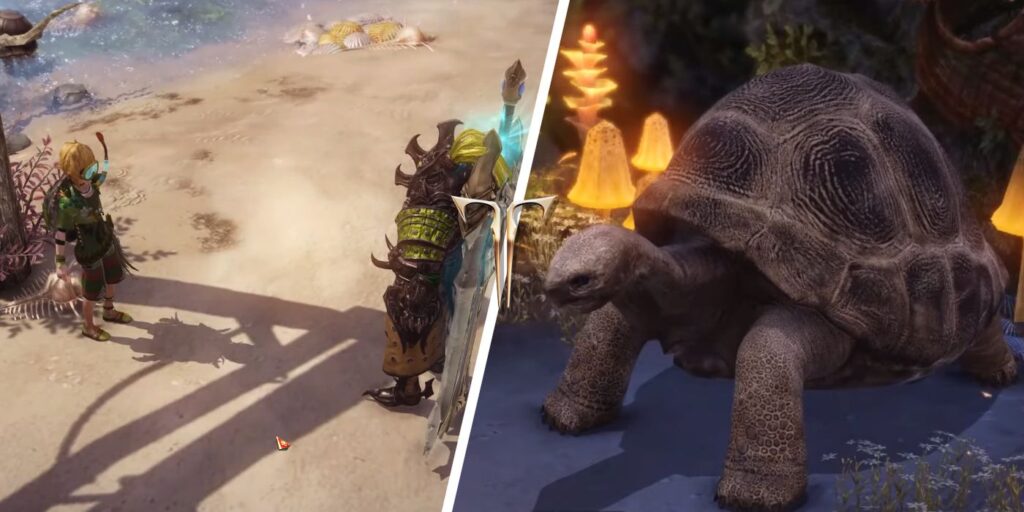 Cómo obtener el token de Turtle Island en Lost Ark