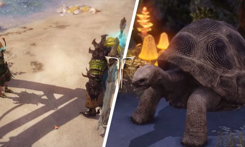 Cómo obtener el token de Turtle Island en Lost Ark