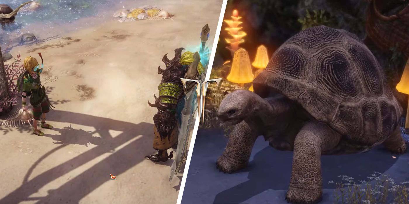 Cómo obtener el token de Turtle Island en Lost Ark