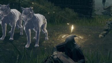 Cómo obtener las cenizas del lobo solitario en Elden Ring