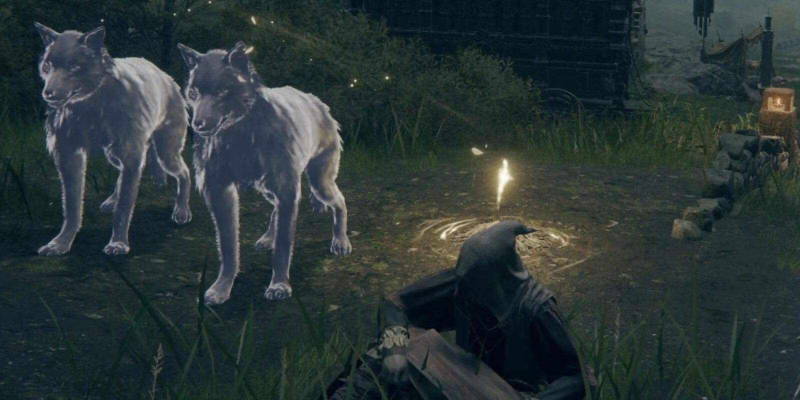 Cómo obtener las cenizas del lobo solitario en Elden Ring