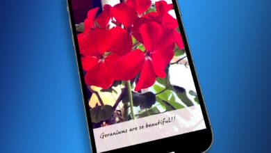 Cómo usar un iPhone para crear videos con subtítulos en vivo mientras hablas