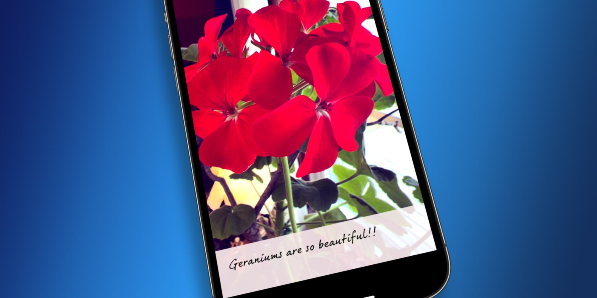 Cómo usar un iPhone para crear videos con subtítulos en vivo mientras hablas