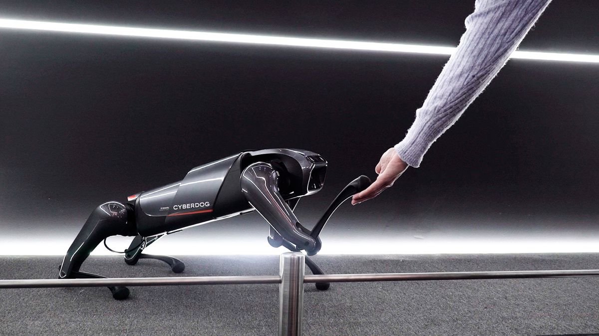 Cyberdog: así es el perro-robot de Xiaomi que parece sacado de ‘Black Mirror’ pero está programado para ser amigable
