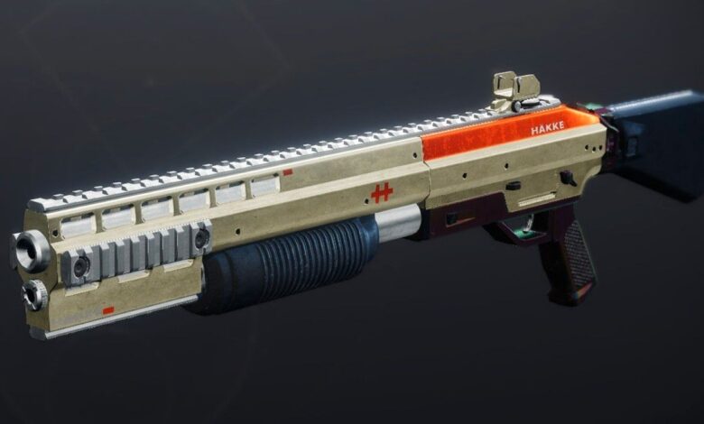 Destiny 2: Cómo obtener el patrón de escopeta Ragnhild-D