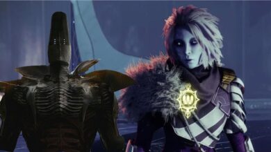 Destiny 2: The Witness podría estar reclutando más discípulos