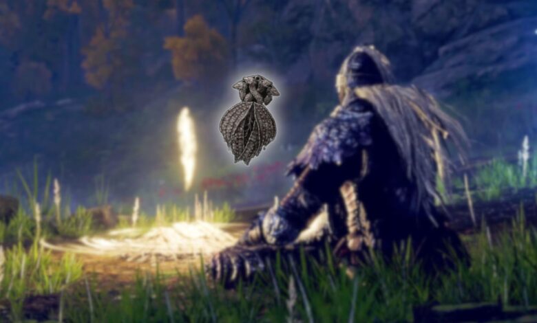 Dónde encontrar el Talismán del Viejo Señor en Elden Ring