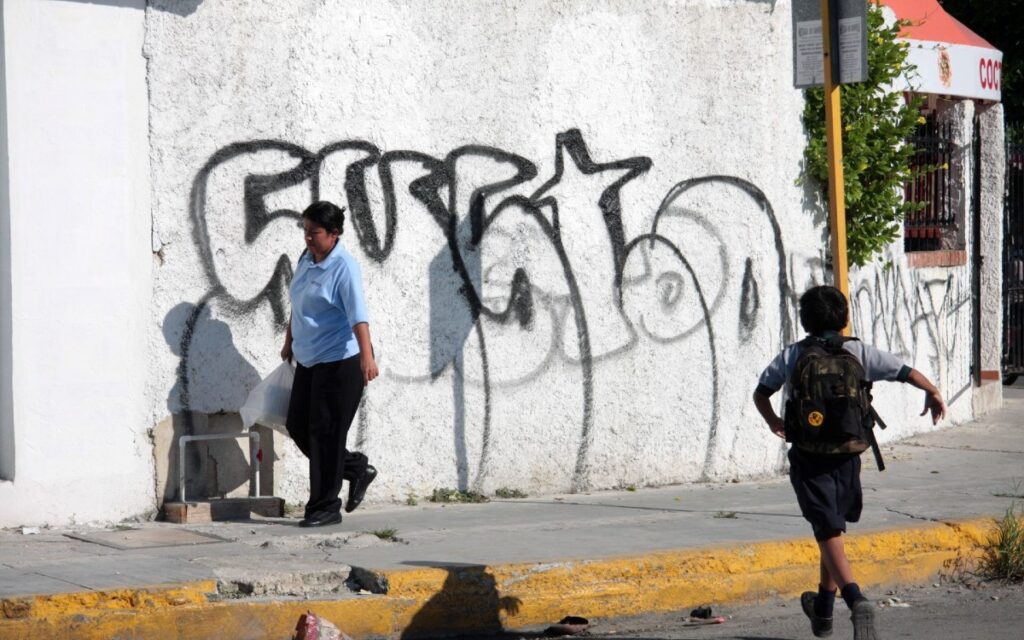 "El crimen organizado ve en niños y adolescentes un recurso manipulable y de bajo costo": ONPRENNA