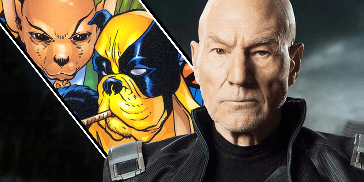 El equipo oficial de perros de X-Men son las mejores variantes de Marvel