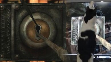 El gato de Skyrim Player ayuda a abrir cerraduras en un video adorable