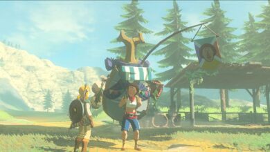 El jugador de BOTW viaja a través del mapa de Hyrule para reunir a cuatro Beedles
