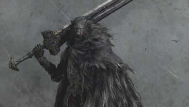 El jugador de Elden Ring detecta una posible broma congelada en el juego