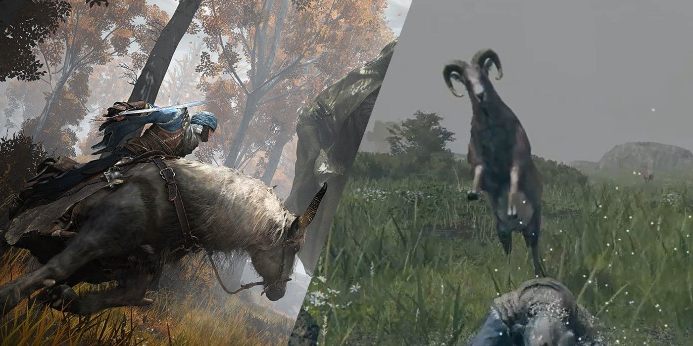 El jugador de Elden Ring sufre una muerte trágica a manos de Ram después de enfrentarse a un jefe duro
