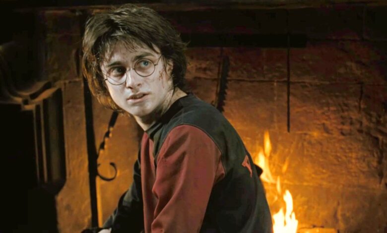 El video de TikTok de Harry Potter imagina las divertidas reacciones de los abogados muggles de Boston
