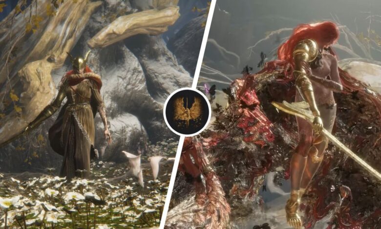 Elden Ring: Cómo vencer a Malenia, Blade Of Miquella