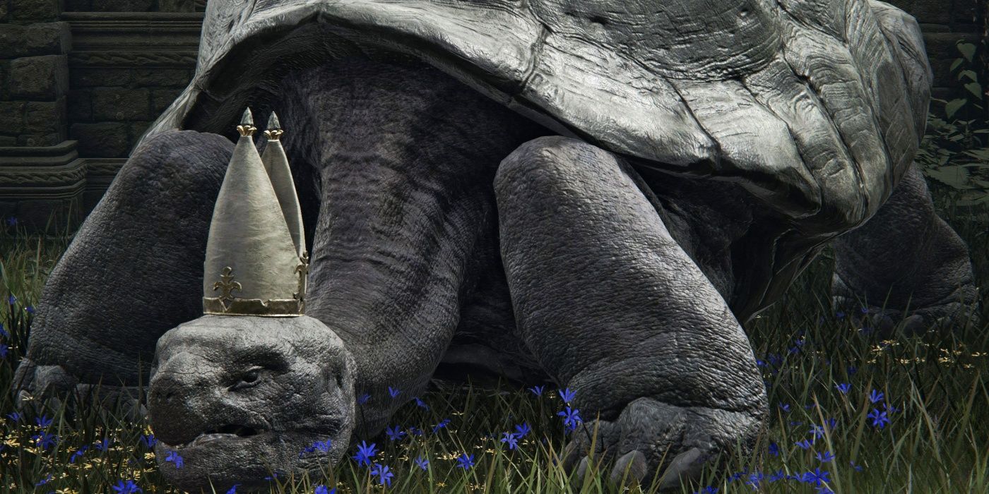 Elden Ring Player mata a Turtle Pope Miriel y se arrepiente al instante