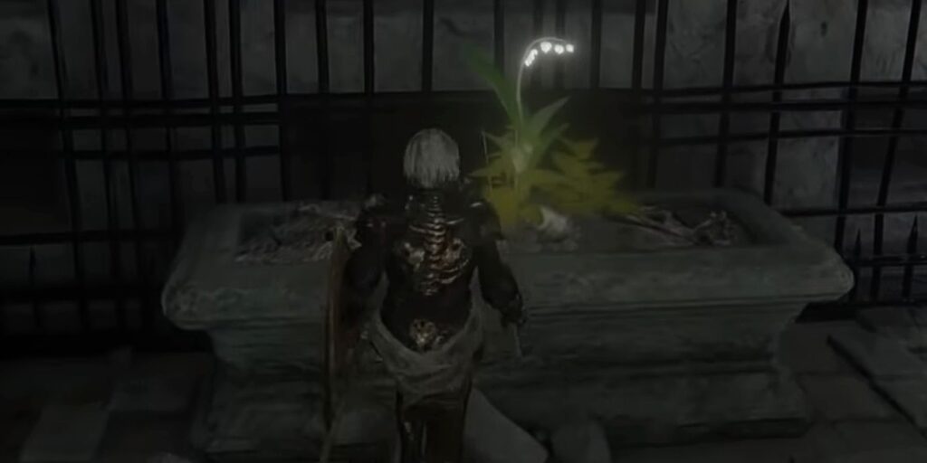 Elden Ring: cada ubicación de Grave Glovewort y Ghost Glovewort