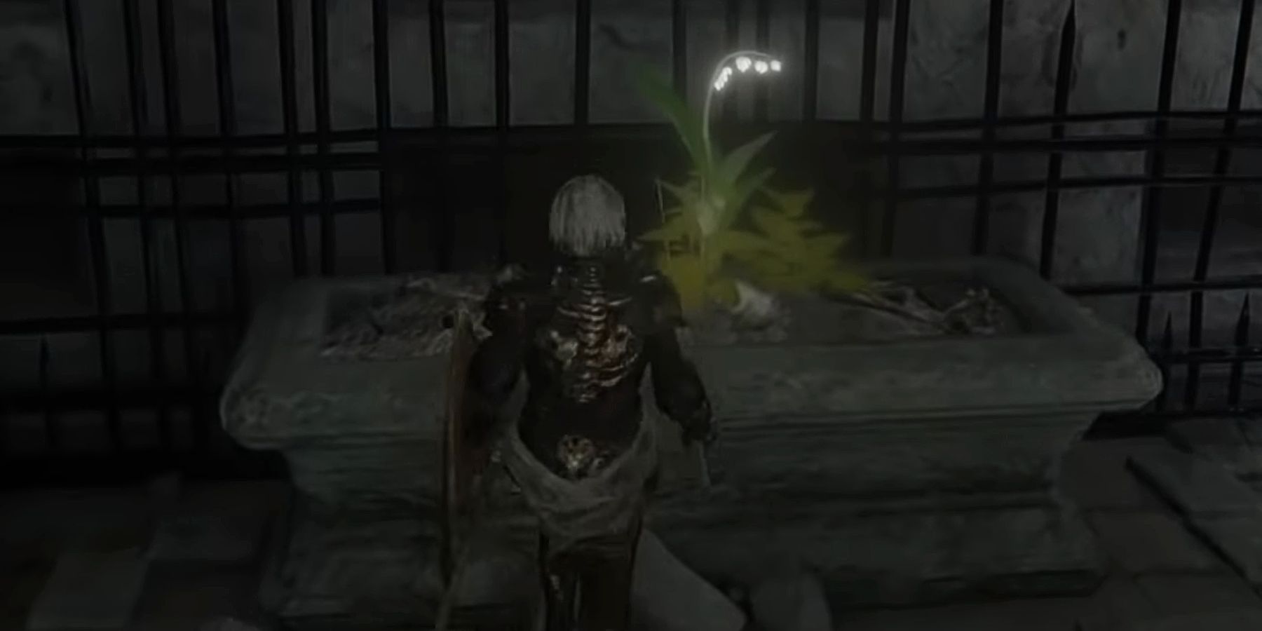 Elden Ring: cada ubicación de Grave Glovewort y Ghost Glovewort