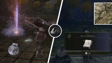 Elden Ring: cómo obtener (y usar) el lirio de Trina