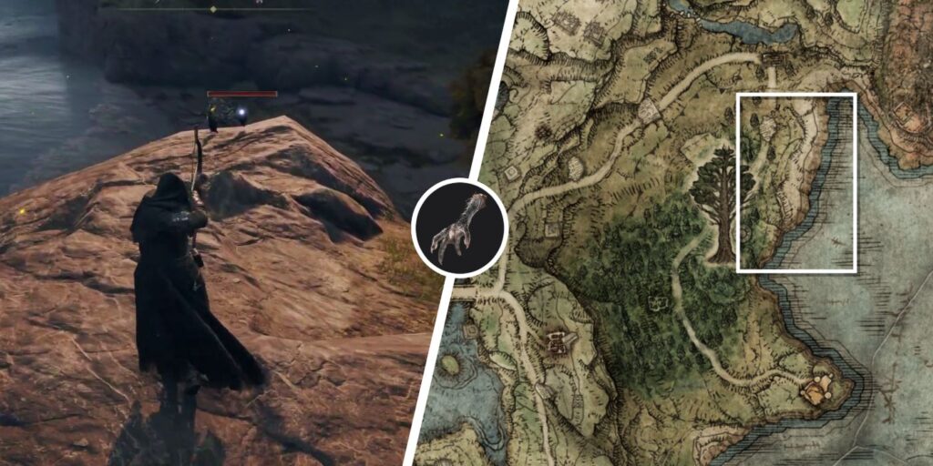 Elden Ring: dónde cultivar la pata de ave de cuatro dedos