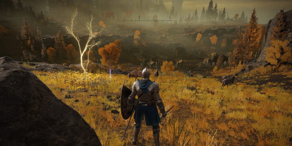 Elden Ring: dónde encontrar semillas doradas